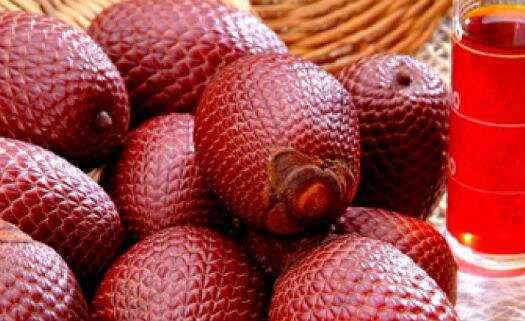 buriti-525
