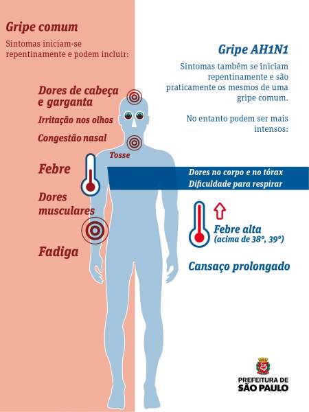 H1N1 - infográfico (reprodução/Prefeitura)