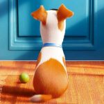 Veterinária da Petz dá dicas para que a “vida secreta dos bichinhos” seja tranquila