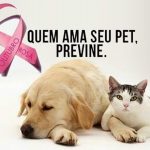 Outubro Rosa Pet alerta para câncer de mama em animais de estimação