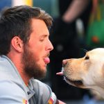 O cachorro é a cara do dono: Conheça os motivos científicos para tanta semelhança