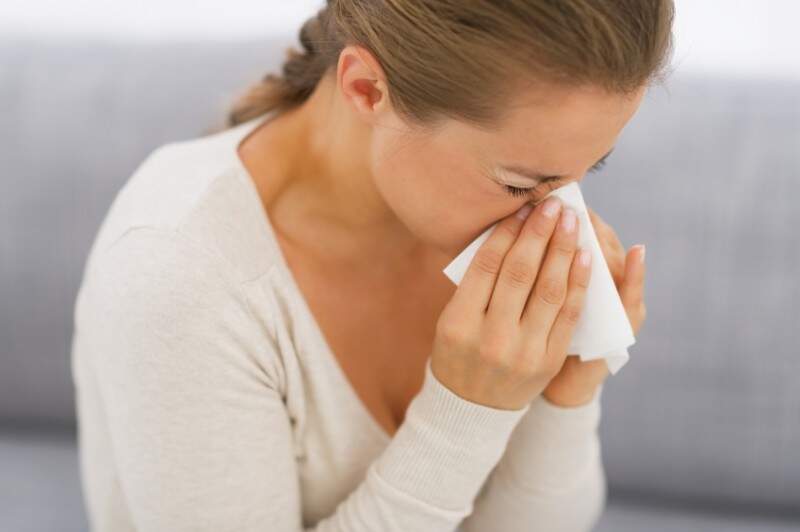 Alerta de Verão: Mofo pode causar crises respiratórias
