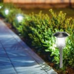 Energia solar conquista espaço em jardins