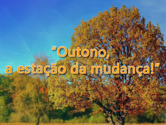 O Outono chegou !  Estação ideal para cuidar da pele, intestino grosso e dos pulmões