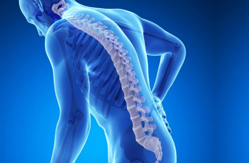 Dia Mundial da Osteoporose: Conheça e saiba como prevenir a doença