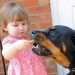 Mordidas de cachorro em crianças: tratamento e cirurgia