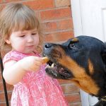 Mordidas de cachorro em crianças: tratamento e cirurgia