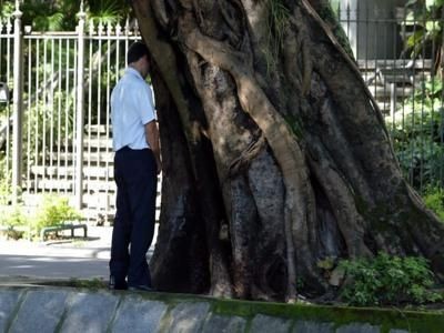 Prefeitura de SP regulamenta Lei do Xixi, que multa quem urinar em espaços públicos