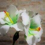 Flores Artificiais