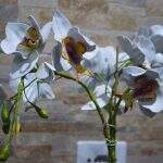 Flores artificiais