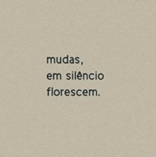 Brasil em época de eleição ! O que esperar?