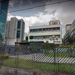 FMU Santo Amaro – Promove atendimento gratuito para Pets