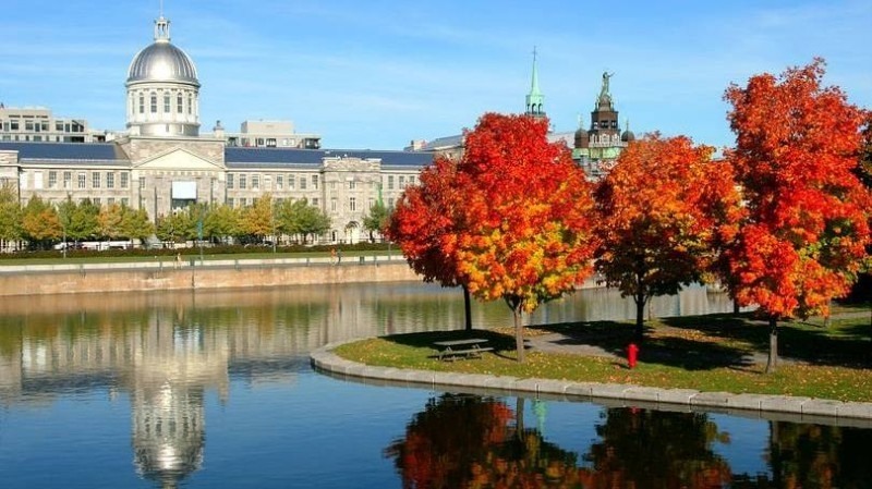 Canadá registra um aumento de 17% no número de brasileiros estudando por mais de seis meses em 2018