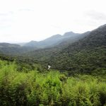 Compra de imóvel em área de preservação ambiental o que fazer?