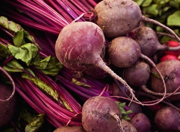 Gosta de beterraba? O Sítio A Boa Terra ensina como fazer um menu completo