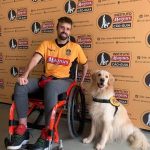 Cão socializado por Ana Hickmann treinado para doação:  assistência para cadeirante