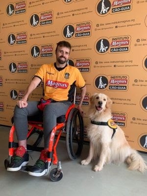 Cão socializado por Ana Hickmann treinado para doação:  assistência para cadeirante