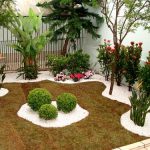 Cultivar plantas em casa – Saiba como