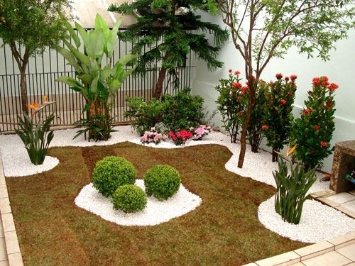 Cultivar plantas em casa – Saiba como
