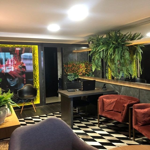 Benefícios de ter plantas em casa