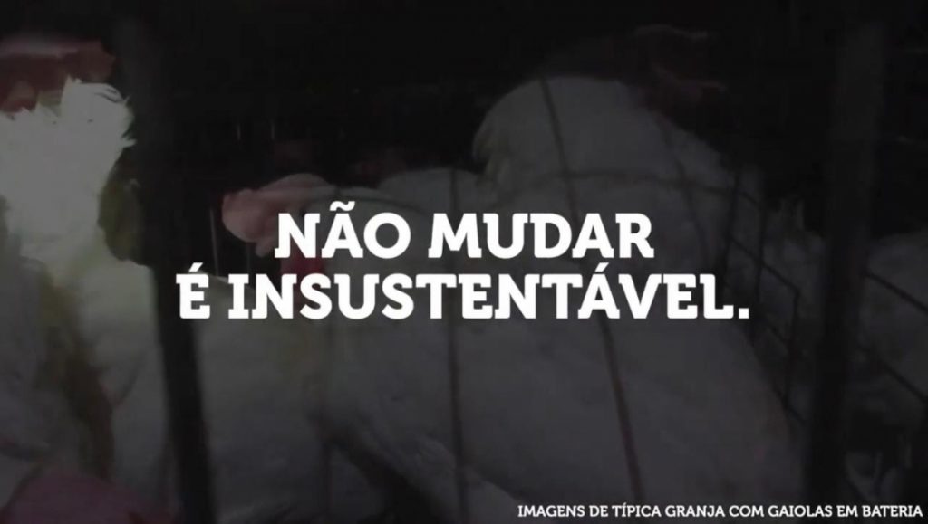 GPA: Anuncia fim da venda de ovos de galinhas confinadas em gaiolas