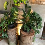 Paisagismo: transforme sua casa e ambiente de trabalho em 2021