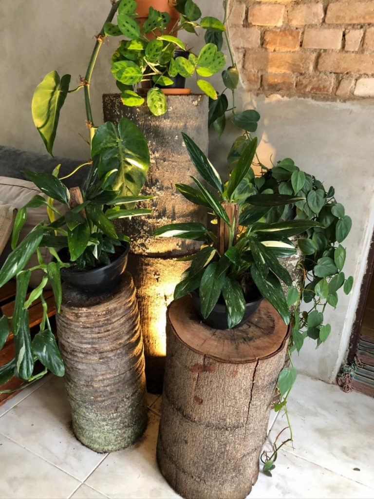 Paisagismo: transforme sua casa e ambiente de trabalho em 2021