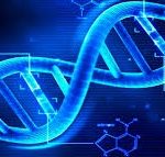 Neurocientista explica sobre a vacina de mRNA contra Covid-19 : não altera nosso código genético