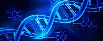 Neurocientista explica sobre a vacina de mRNA contra Covid-19 : não altera nosso código genético