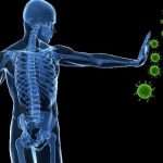 O que é necessário para manter a boa imunidade?