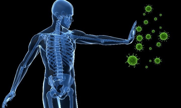 O que é necessário para manter a boa imunidade?