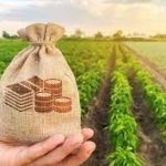 Agronegócio continua puxando a economia