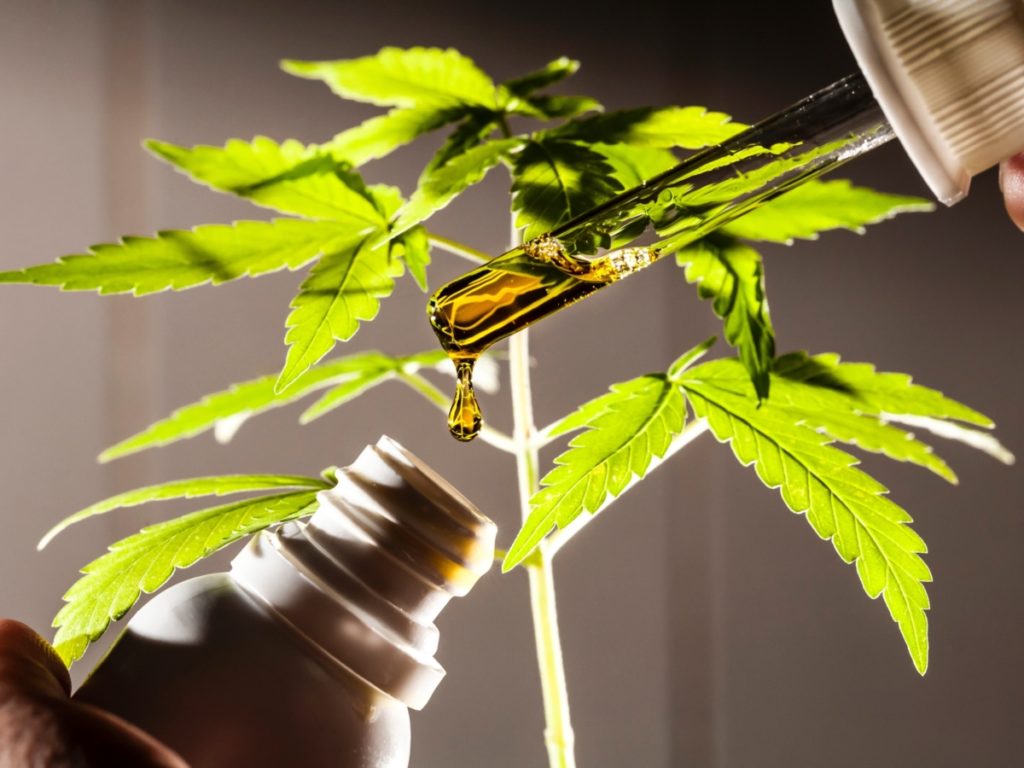 Cannabis medicinal pode auxiliar o tratamento de pacientes com casos leves e refratários de epilepsia, diz CEO da Remederi