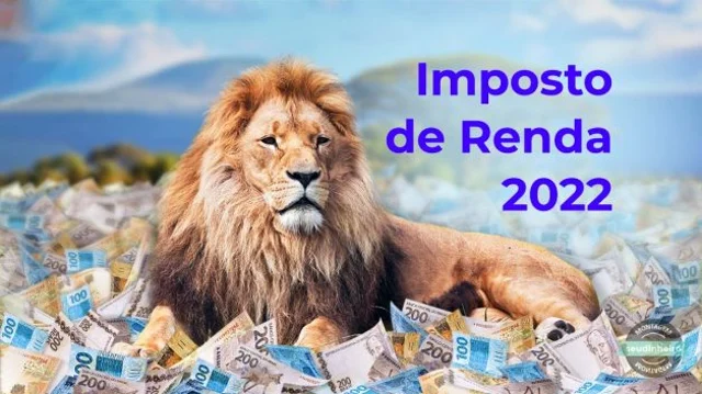 Saiba como direcionar parte do seu Imposto de Renda devido para causas sociais