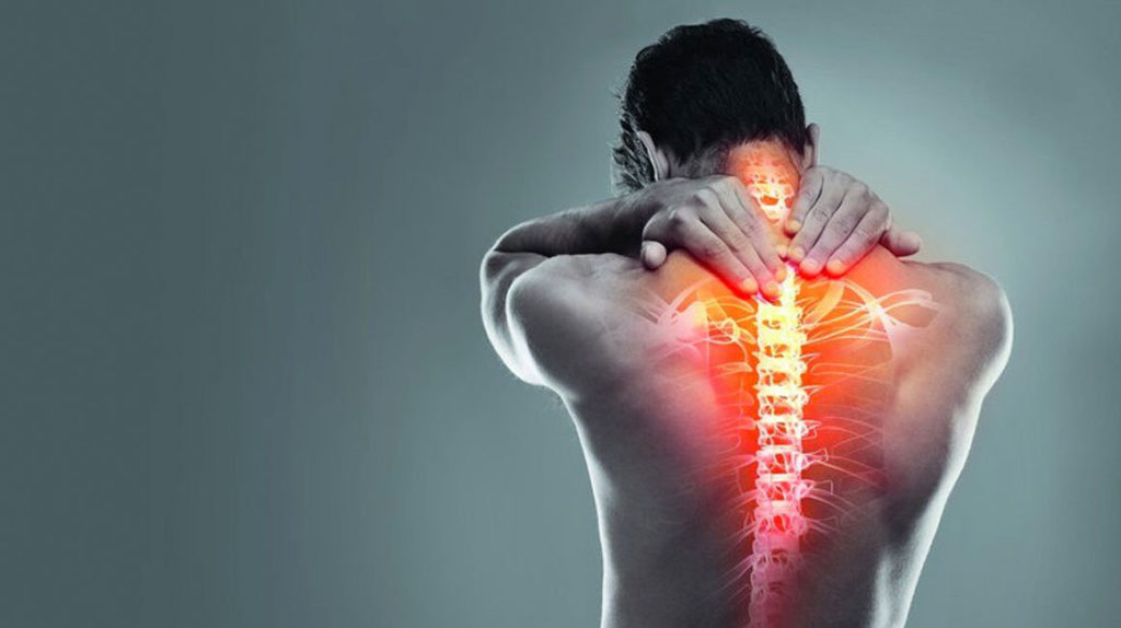 Dor na coluna? Veja 5 dicas para evitar o incômodo