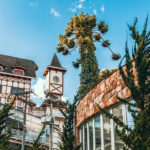 Conselho Municipal dos Direitos da Mulher é reativado em Campos do Jordão