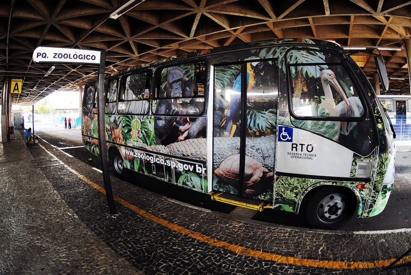 Transporte Orca Zoo da EMTU leva visitantes ao Zoológico de São Paulo