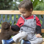 Pets e crianças: como ensinar as crianças sobre posse responsável?