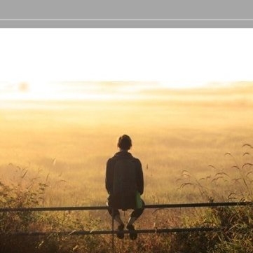 Não há felicidade perfeita…