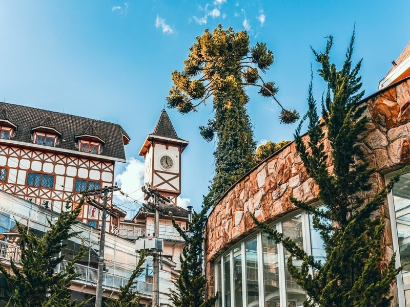 Conselho Municipal dos Direitos da Mulher é reativado em Campos do Jordão