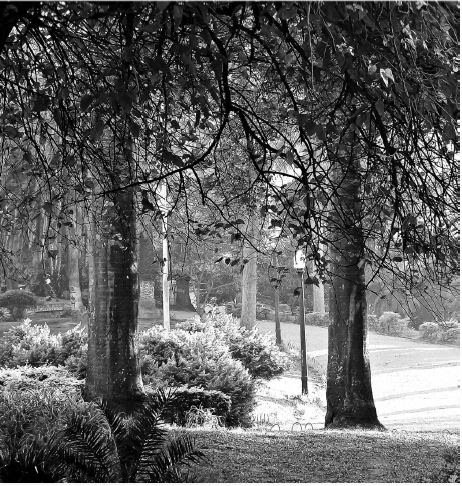 Na Estação Socorro, da Linha 9-Esmeralda, exposição revela o centro de São Paulo por outros ângulos