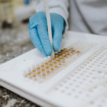 Por que a padronização da Própolis é tão importante para a saúde?