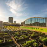 Dia Mundial do Meio Ambiente: Shopping Eldorado se destaca com suas múltiplas ações de sustentabilidade