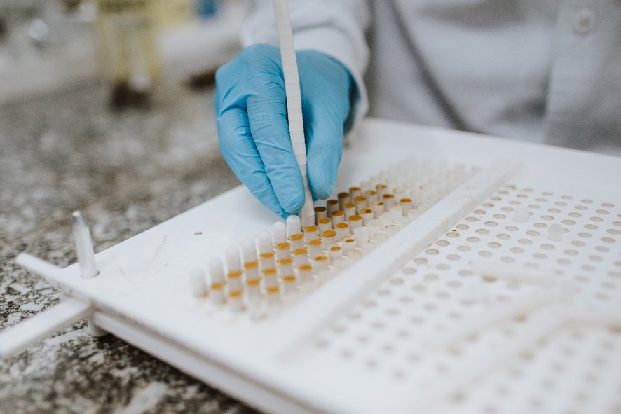 Por que a padronização da Própolis é tão importante para a saúde?