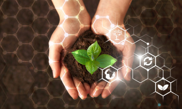 Empresa lança saco para lixo zero plástico