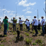 Projeto Raízes da União inicia plantio de mudas de árvores no Sistema Cantareira em SP