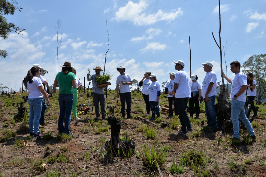 Projeto Raízes da União inicia plantio de mudas de árvores no Sistema Cantareira em SP